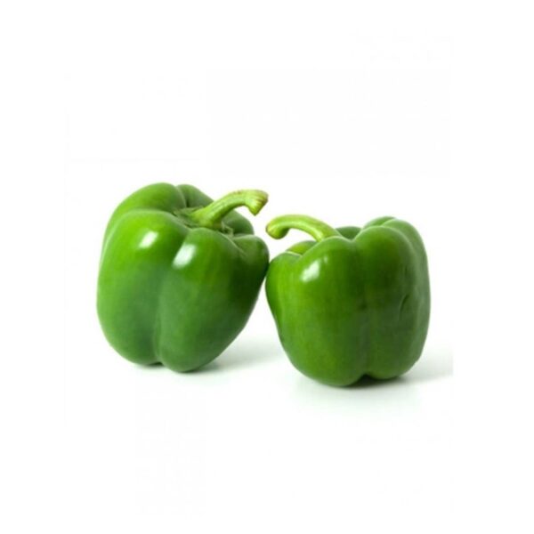 Poivron vert